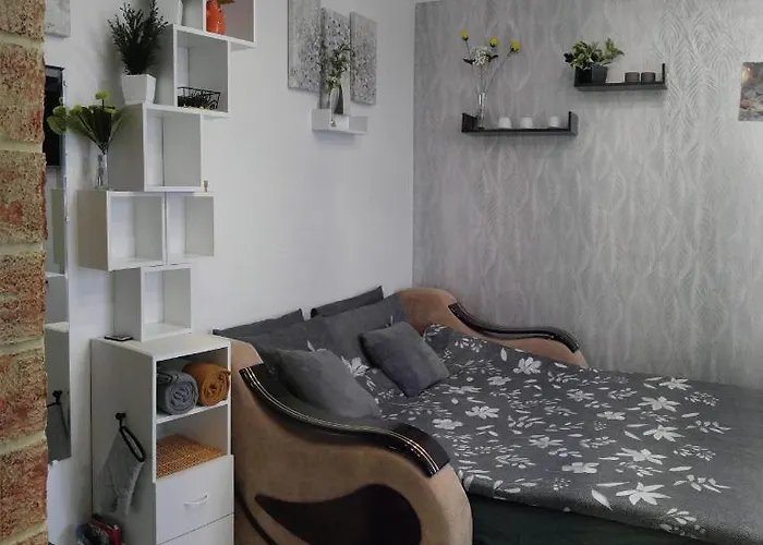 Frendly Flat Free Wifi & Parking Kitchen Equipment Cosy